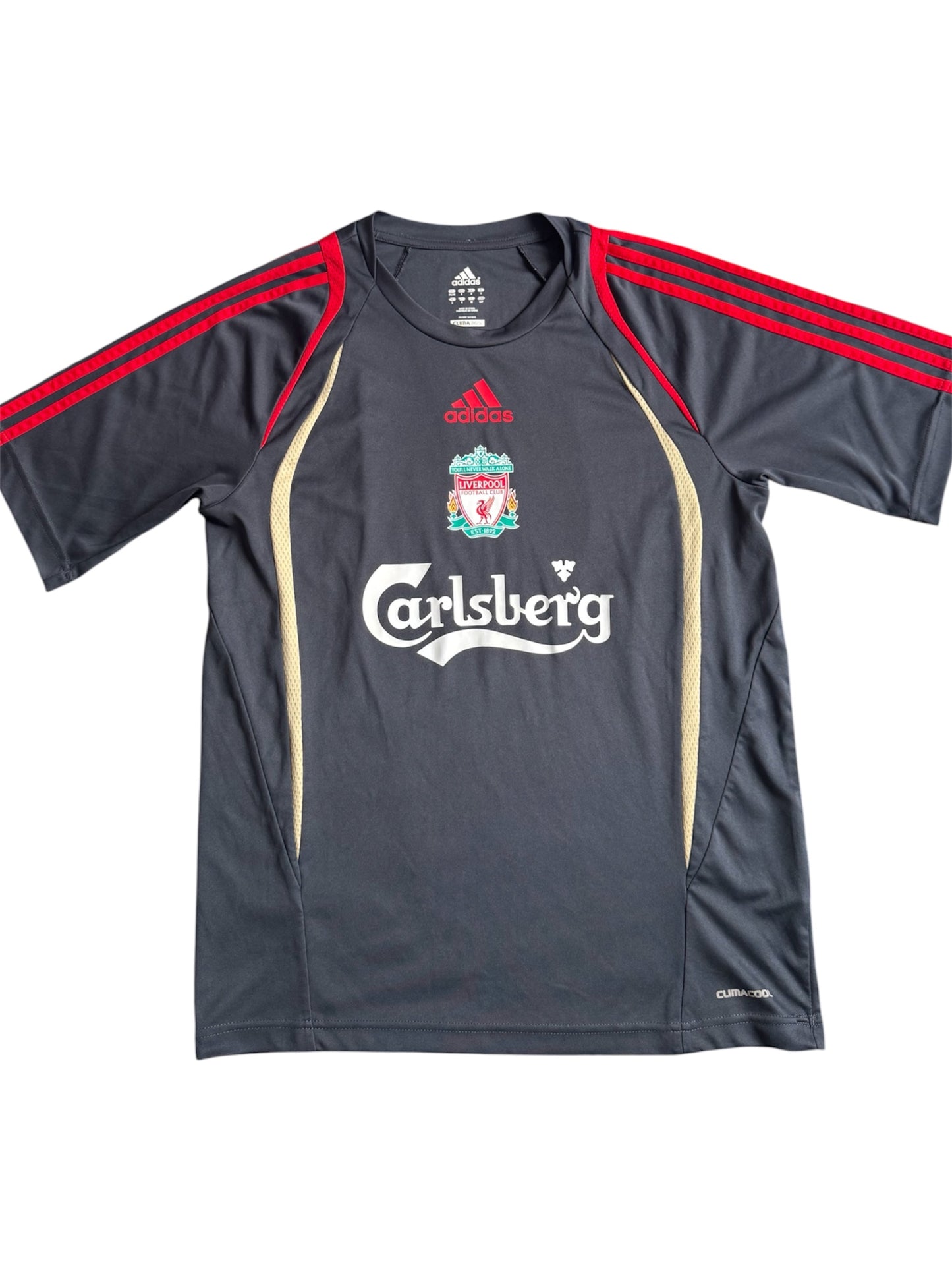 Liverpool FC 2009/10 Training Shirt (S)
