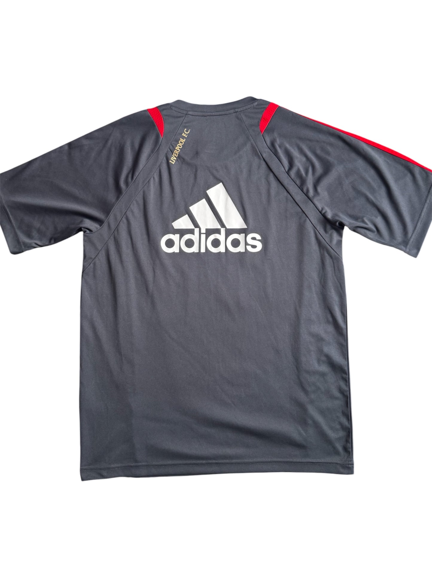 Liverpool FC 2009/10 Training Shirt (S)